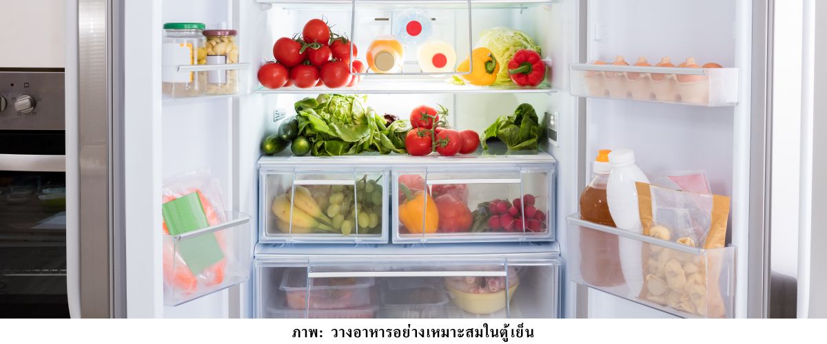 ตู้เย็น-03-1200x600.jpg