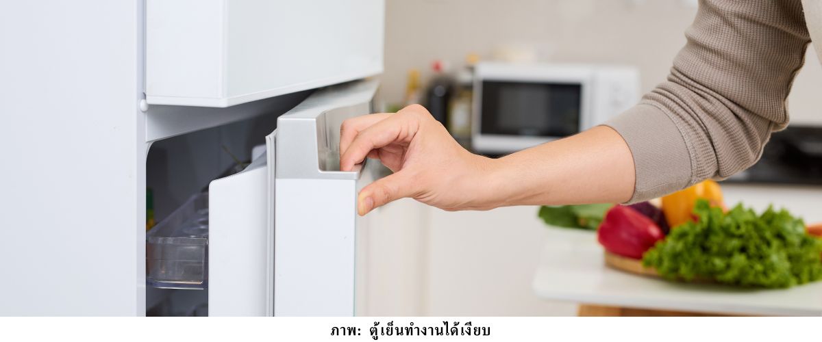 ตู้เย็น-07-1200x600.jpg