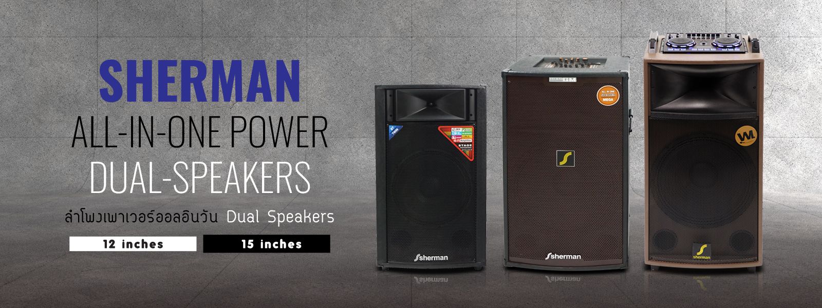 All_IN_One_Speaker_Categories_9cff97d82b