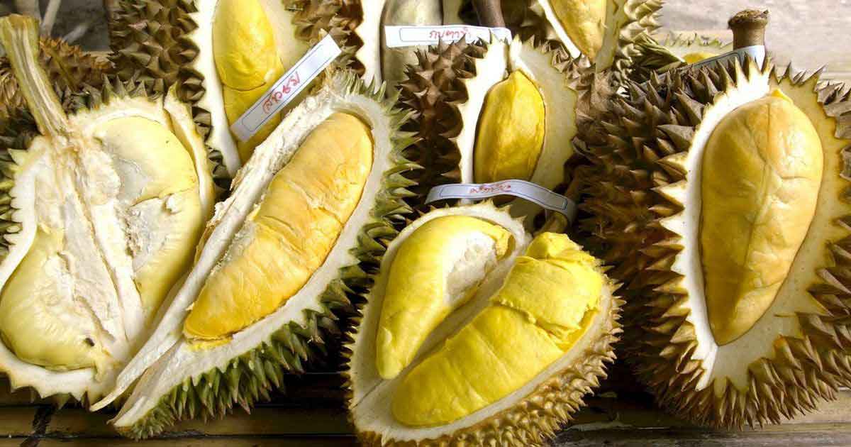 สายกินอย่าให้พลาด-จัดอันดับ-ทุเรียนพันธุ์ไหนอร่อยสุด.jpg