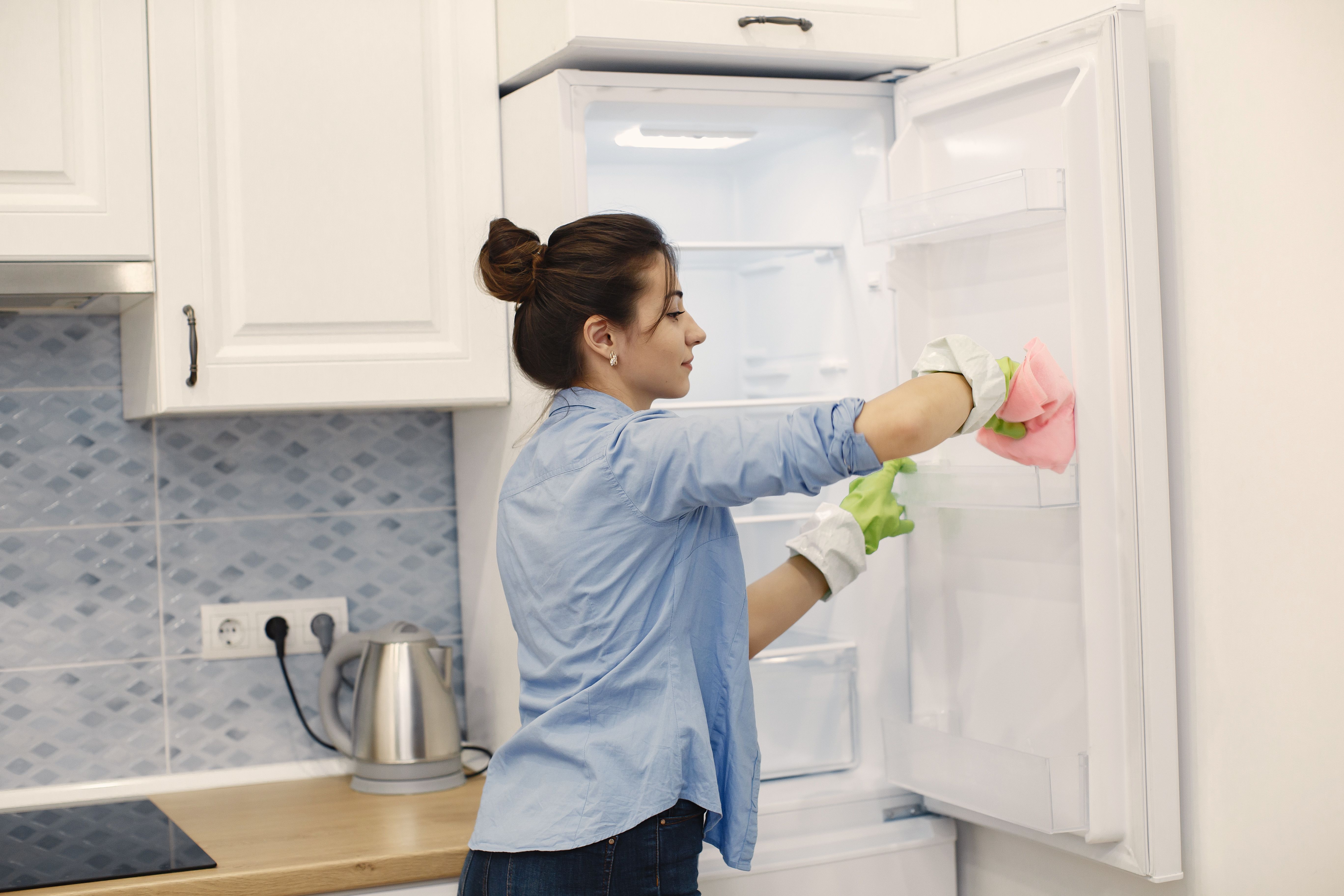 housewife-woking-home-lady-blue-shirt.jpg