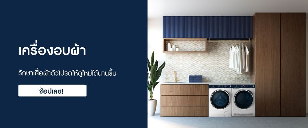 Electrolux_Banner2_c5a77f9d0c
